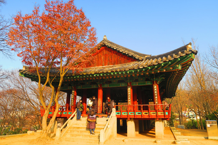 원본이미지(클릭)