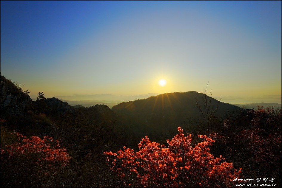 주작산 봄 풍경