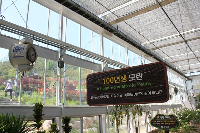 원본이미지(클릭)