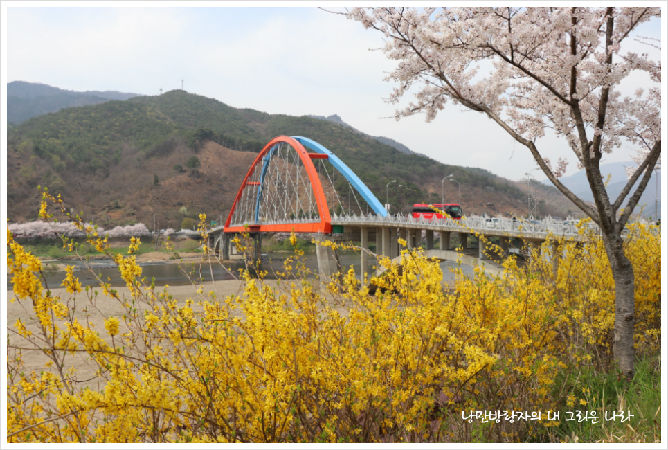 [경남 하동] 절정의 벚꽃을 만나다