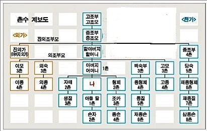 집안 촌수 계보도