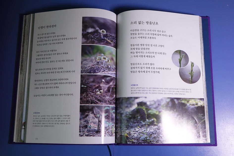 제주도 야생화 시집을 펴내며