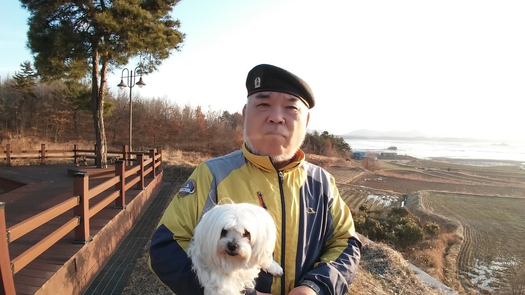 내사진