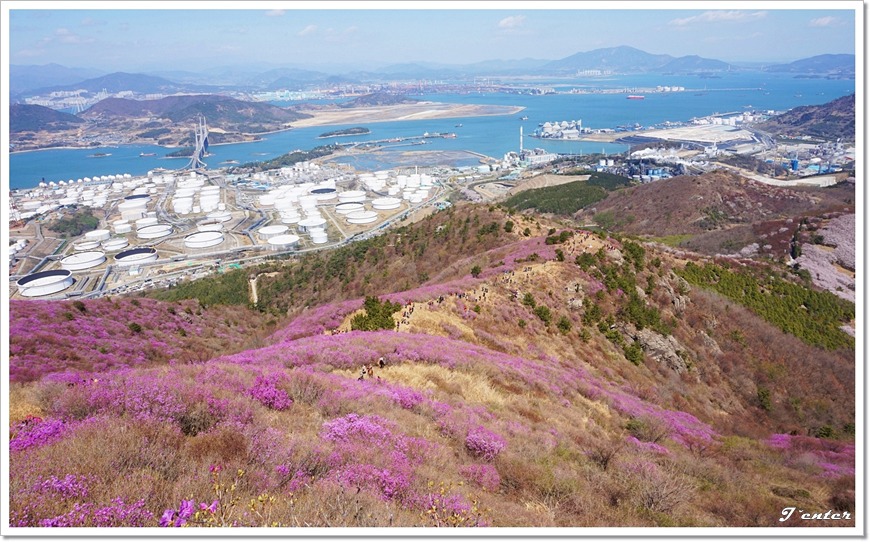 여수 진달래꽃 산행 명산 - 영취산 등산코스