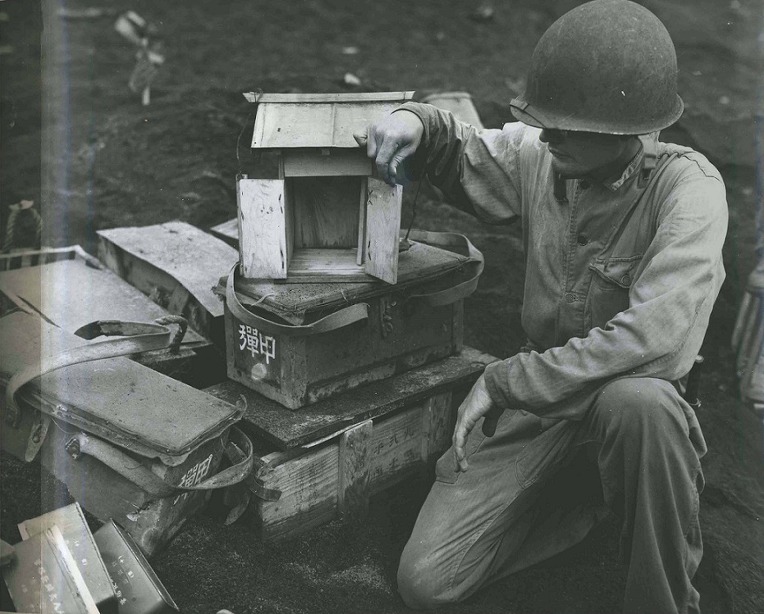 태평양전쟁 당시 일본군의 뉴기니 부비 트랩 - Pacific War Japanese Booby Trap in New Guinea