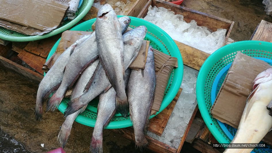 해산물이 넘쳐나는 여수 교동시장 풍경