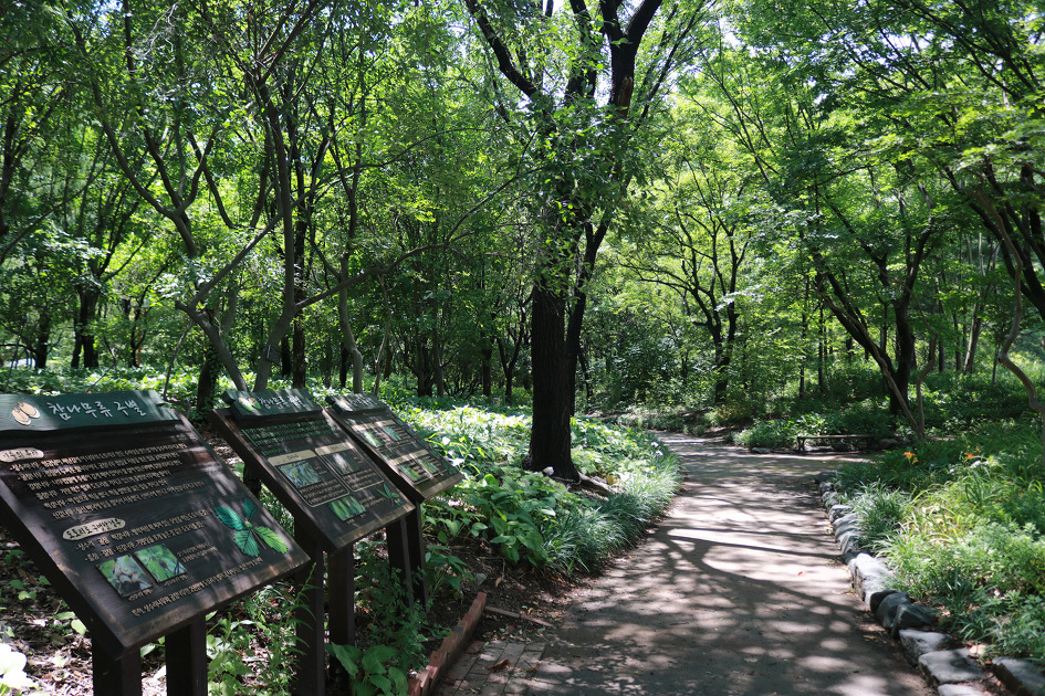 대구수목원 이미지