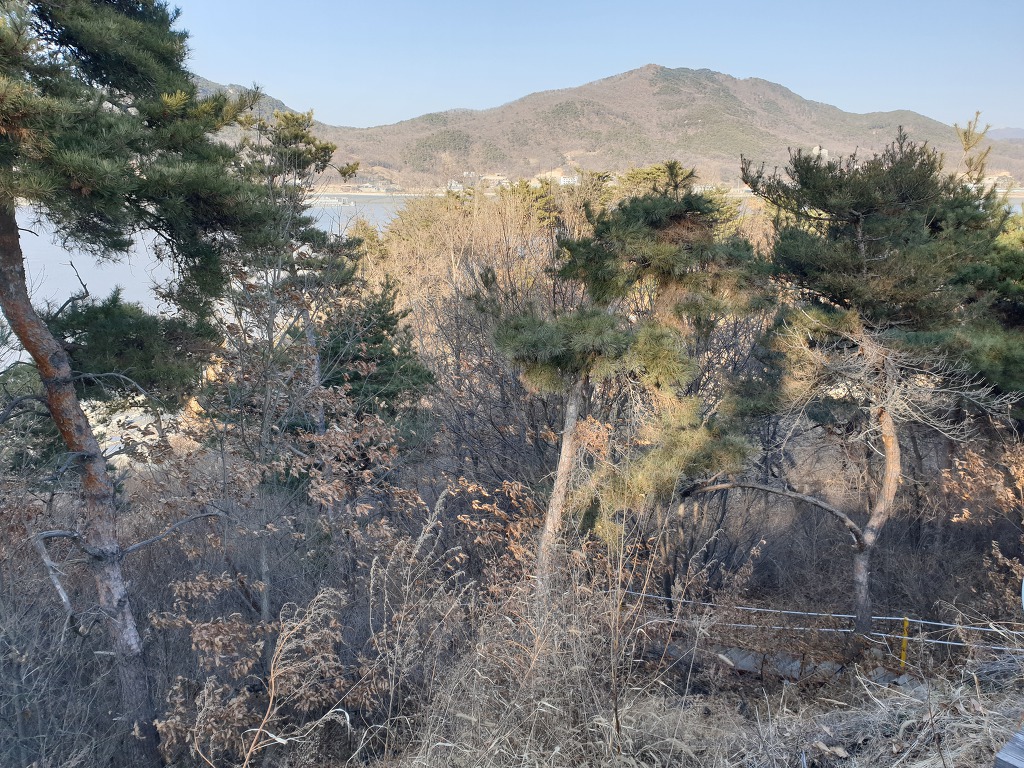 갤러리 사진