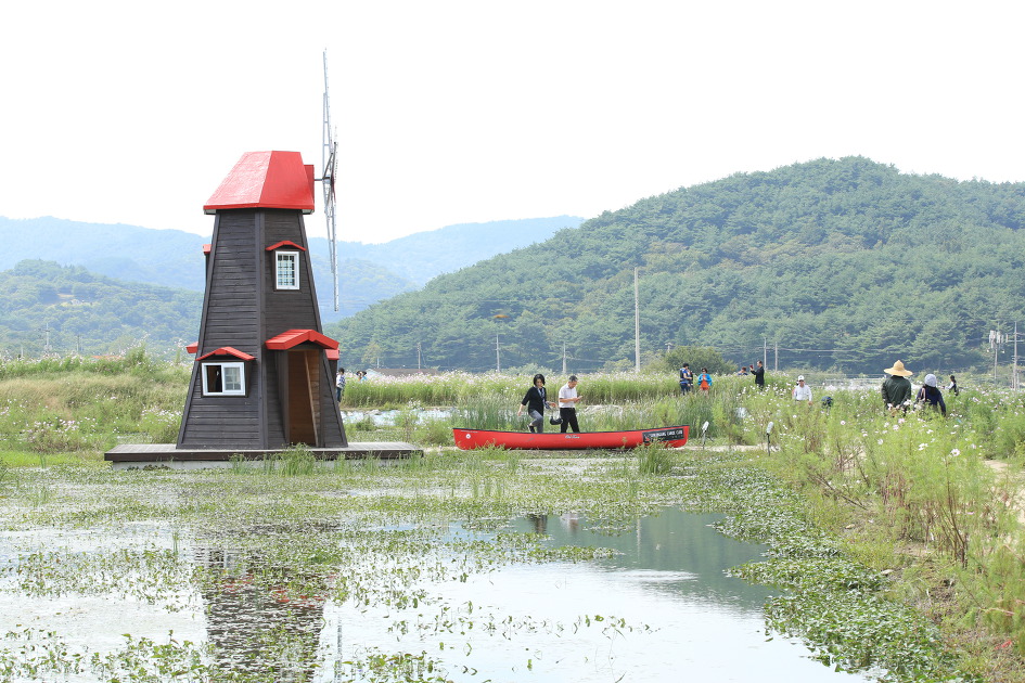 가을의 전령사 코스모스가 예쁘게 핀 하동 북천코스모스