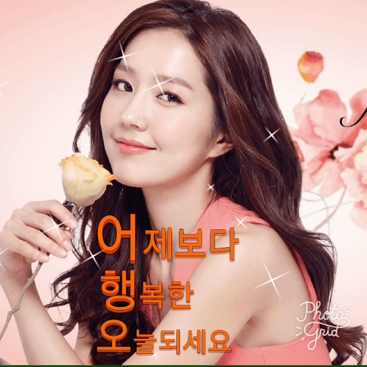 끝내주는 번호판 외 유모어