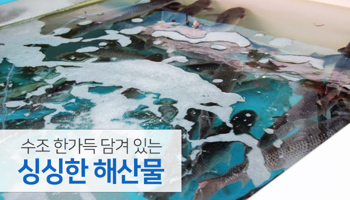 솔바로횟집 이미지