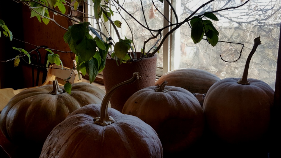 자기 연민의 힘