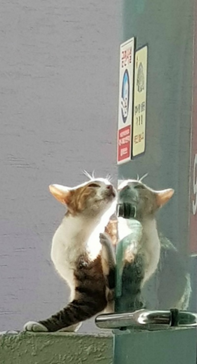 2018-10-31 수요일