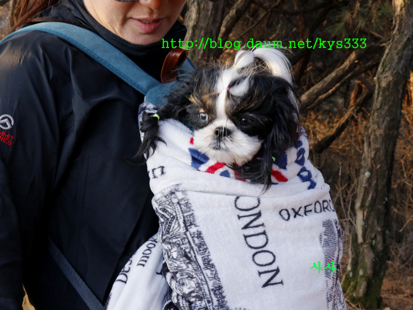 어등산 해맞이 산행 ...2018년 1월 1일