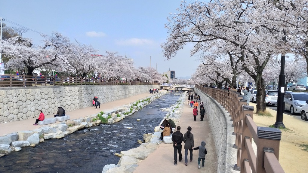 벚꽃따라걷는길