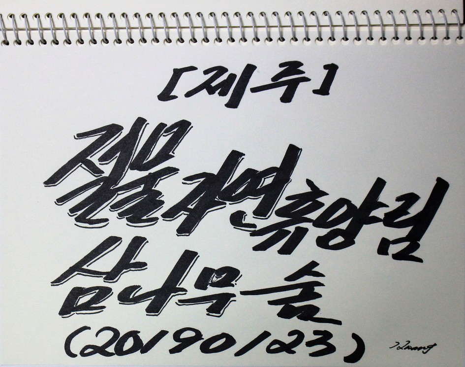 [제주]  절물자연휴양림  삼나무숲    (20190123)