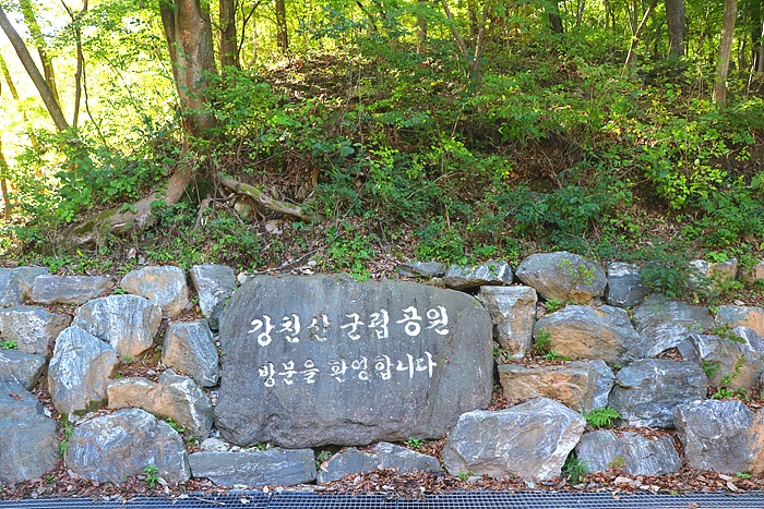 원본이미지(클릭)