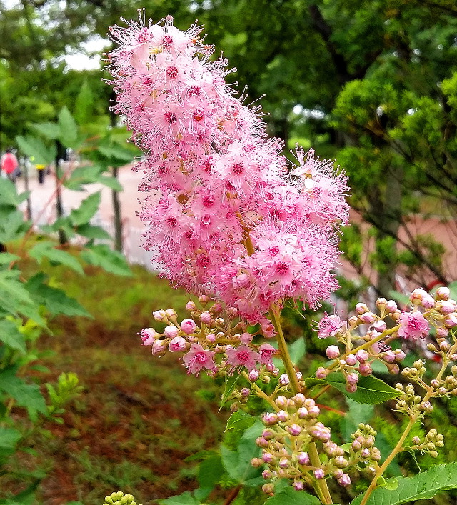 속초 해수욕장에서 성난 파도를 만났습니다.