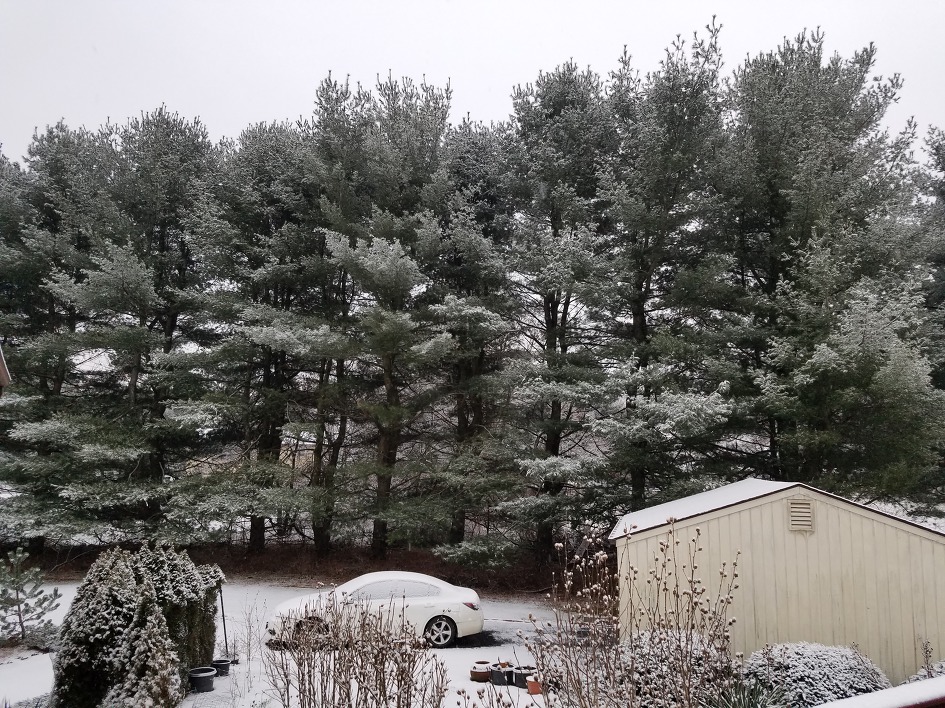 White Christmas Eve